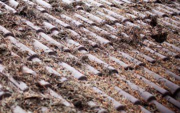 Tydd St Mary roof cleaning companies