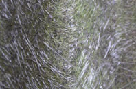 Tydd St Mary fibreglass roof work